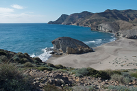 Un proyecto sobre biodiversidad de la UMA recibe una financiación europea de 1,5 millones