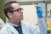 Aplican un bioplástico obtenido de la piel del tomate para recubrir el interior de los envases