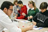 El taller ‘Explorando el cuerpo humano’ abre la Semana de la Ciencia en la UMA