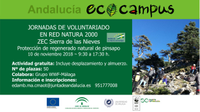 I Jornada de Voluntariado - Protección de regenerado natural de pinsapo