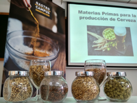 Finaliza el curso de introducción a la cerveza artesana