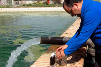 Un estudio analiza la presencia de 'contaminantes emergentes' en las aguas de la cuenca del río Guadalhorce