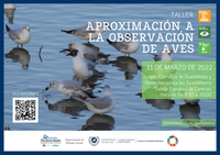 Taller de Aproximación a la observación de aves [ODS]