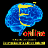 Experto Neuro