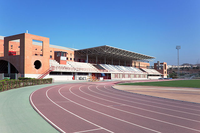 complejo deportivo universitario