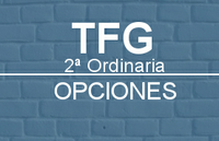 tfg-opciones