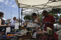 Eco-mercado en Teatinos