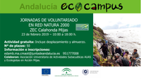 cartel_jornada_2_de_voluntariado_Calahonda