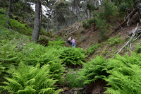 Los profesores en la Sierra de las Nieves