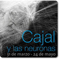 cajal